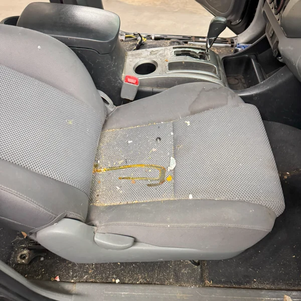 Before — interior detailing